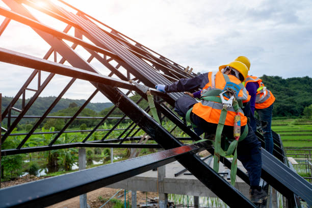 Best Local Roofing Companies  in Frankfort, MI