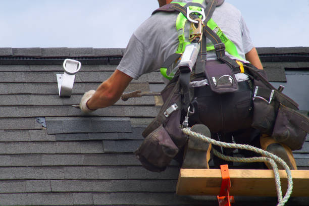 Best Roof Leak Repair  in Frankfort, MI