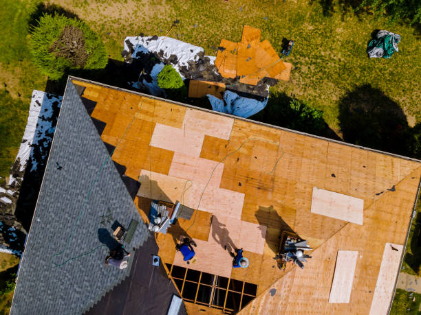 Best Gutter Installation and Roofing  in Frankfort, MI