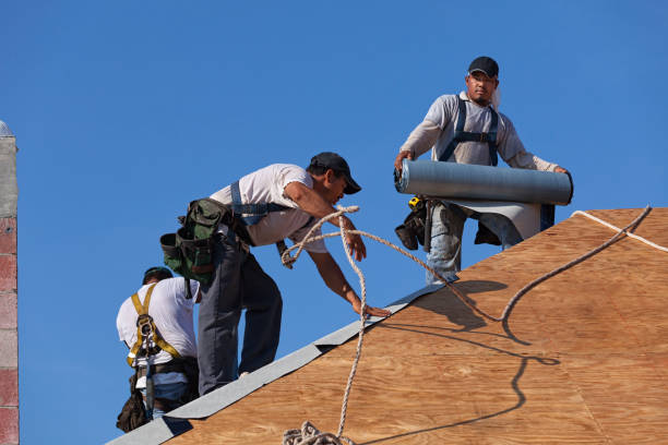 Best Slate Roofing Contractor  in Frankfort, MI