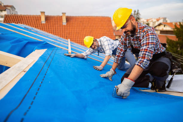 Best Residential Roofing Contractor  in Frankfort, MI