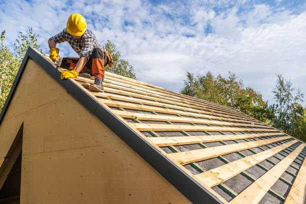 Best Roof Maintenance Services  in Frankfort, MI