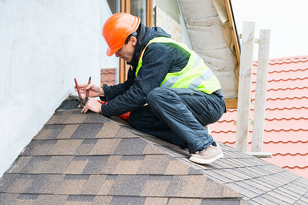Best Sealant for Roof  in Frankfort, MI