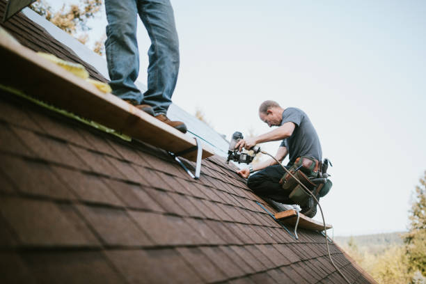 Best Metal Roofing Contractor  in Frankfort, MI